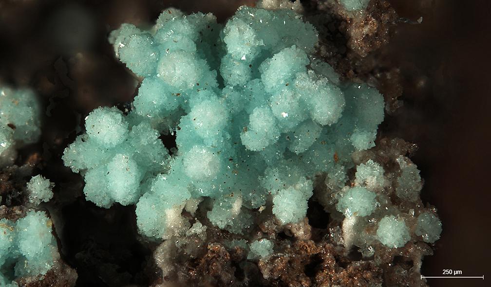 Turquoise crystals, Beauvoir, Echassière, Ebreuil, Allier-Auvergne, France