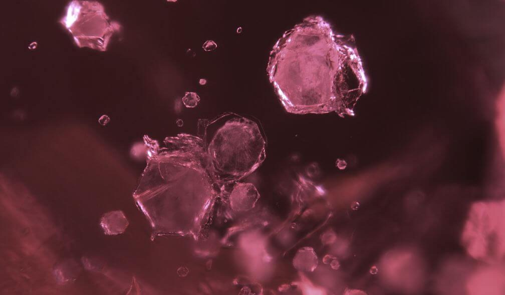 Automorphous margarite crystals in an unheated ruby from Mozambique