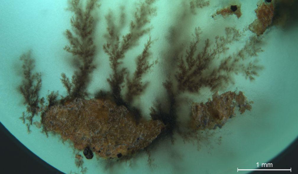 Disordered carbon in cryptocrystalline fuchsite from Ya'an, Sichuan, China.