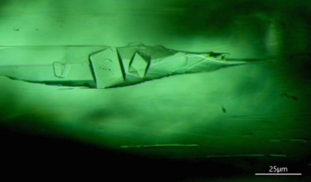 Octahedral sylvite crystals in a Colombian emerald