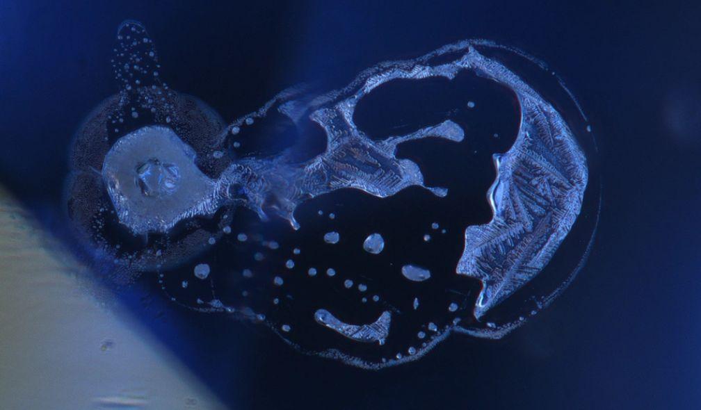 Zircon dramatically altered by high-temperature treatment
