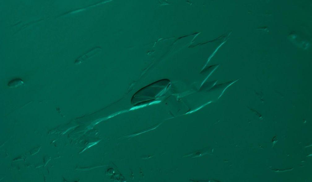 Three-phase digitated inclusion in an emerald from Malipo, China