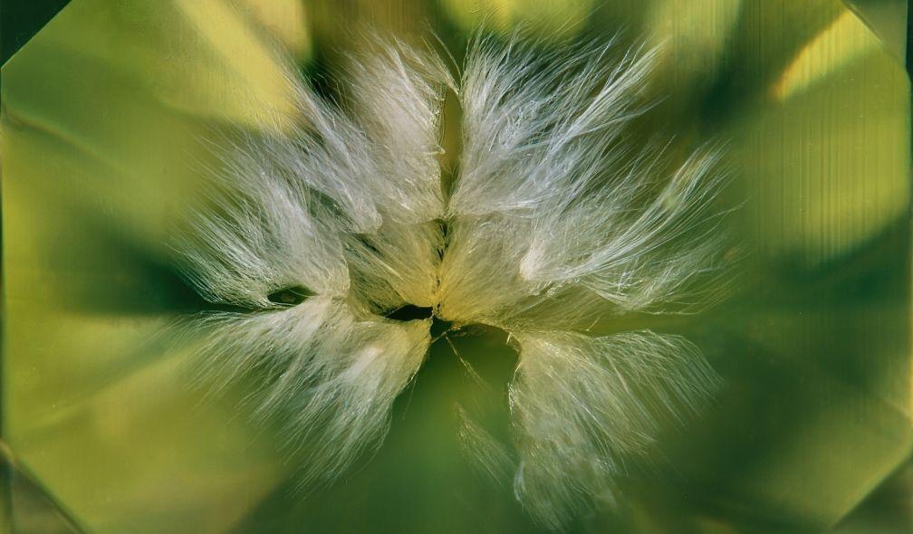Remarkable capillary inclusions in a yellow synthetic diamond (green emitter) grown using HPHT method.