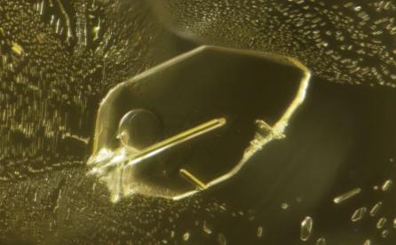 Flat cavity containing a gas bubble in an unheated yellow sapphire from Sri-Lanka