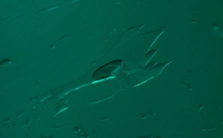 Three-phase digitated inclusion in an emerald from Malipo, China