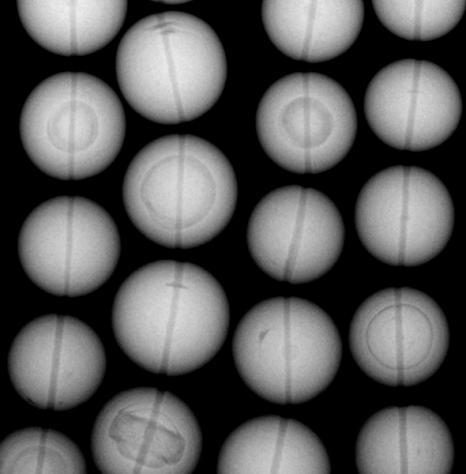 Pearl identification 3